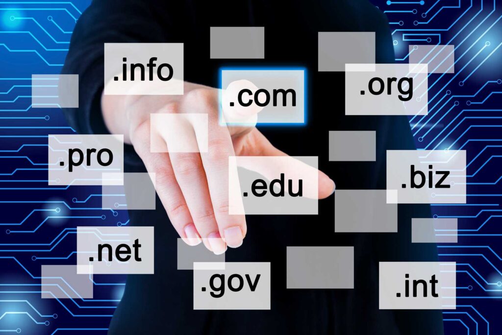 Florida's SEO